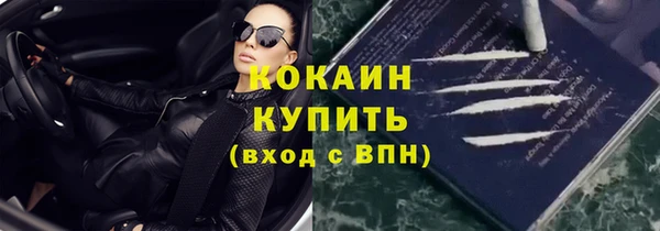apvp Богданович