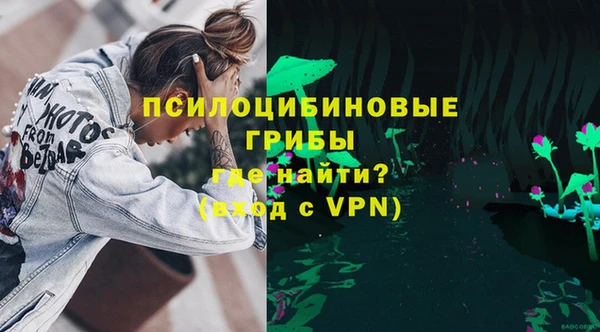 соль ск Богородицк