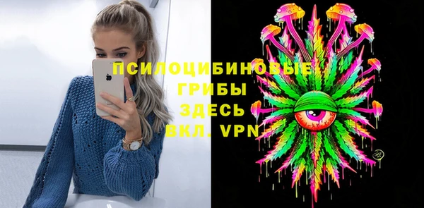 apvp Богданович