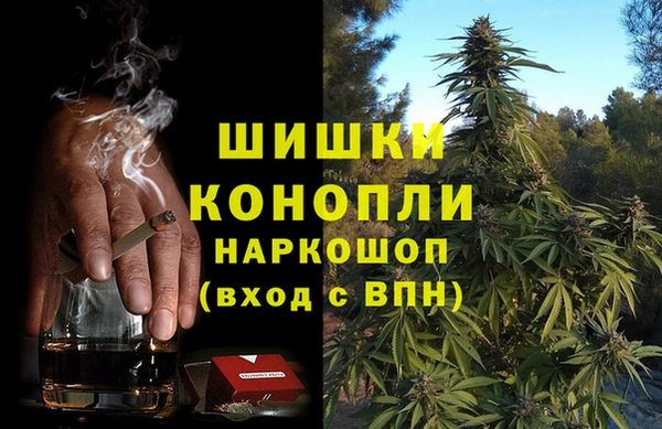 apvp Богданович